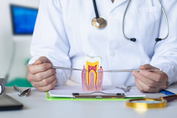 Best Dental Abscess Treatment in Grant, AL